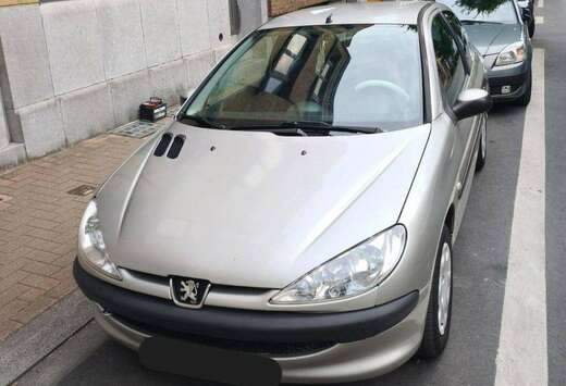 Peugeot 206 1.1i Enfant Terrible