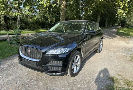 Jaguar JAGUAR F-PACE 3.0D V6 AWD PURE | EURO 6d