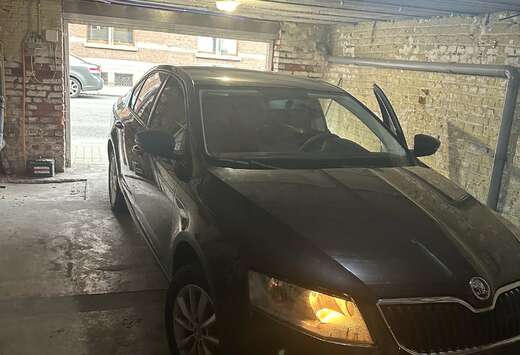 Skoda 1.2 TSI Elegance