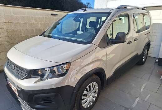 Peugeot 1.5 BlueHDi Long chassis