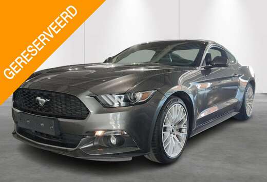 Ford 2.3i EcoBoost