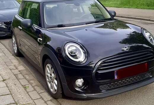 MINI Blackyard