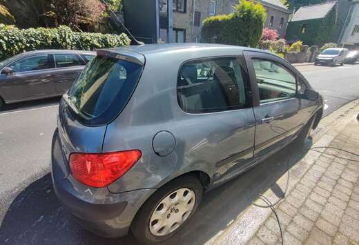 Peugeot 307 1.6i 16v XS
