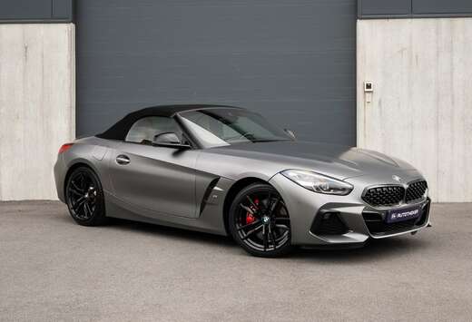 BMW Z4 sDrive30i/ Frozen Grey / Cognac sportstoelen / ...