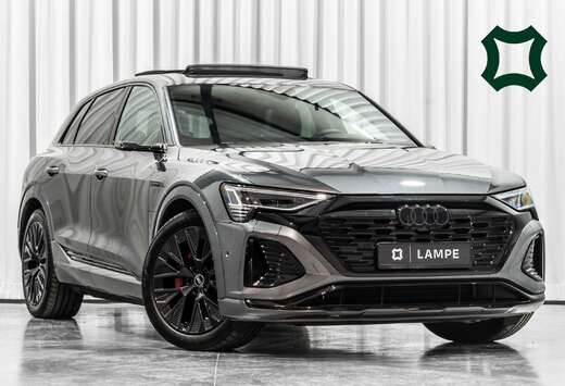 Audi 55 Quattro Competition Pano B&O SoftClose Trekha ...