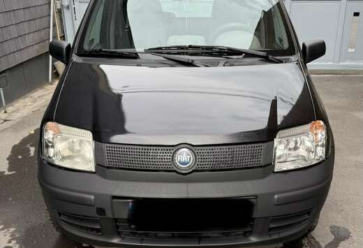 Fiat 1.2i Dynamic