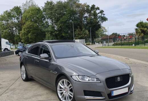 Jaguar 30d Aut. Portfolio