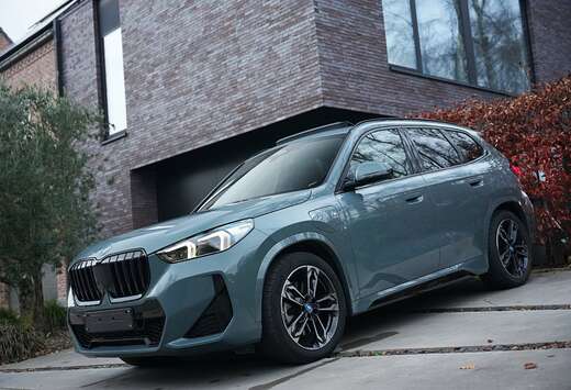 BMW xDrive30e M-Sport Full Pano/Leder/ACC/Zetelv/Trek ...