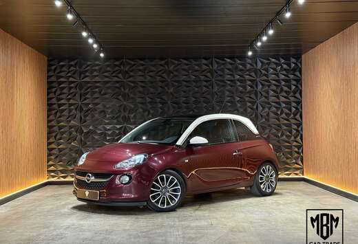 Opel 1.2i  12 Maanden GARANTIE  Pano  H.Leder  Cruise ...