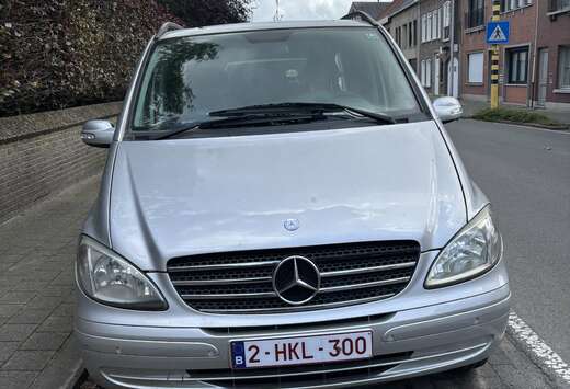 Mercedes-Benz Trend