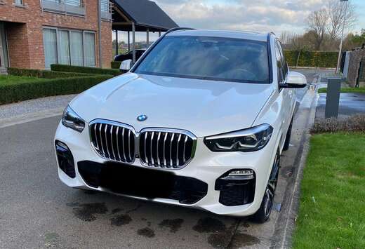 BMW X5+3.0+dAS+xDrive30+AdBlue