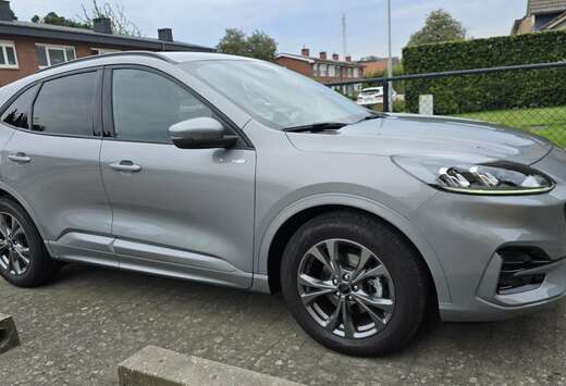 Ford 2.0 TDCi ST-Line / 2024 / 15500km / Automaat