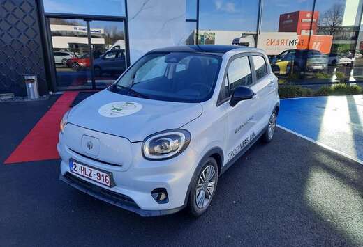 Design EV 37.3Kwh 95pk