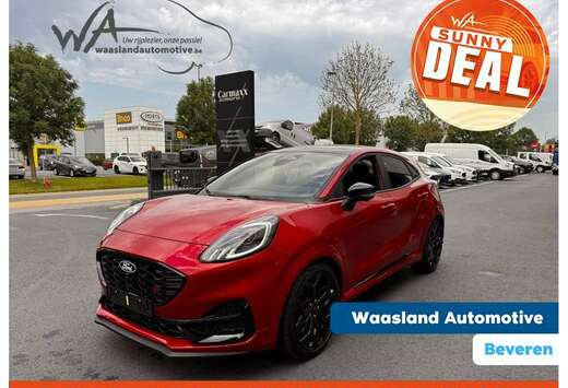 Ford ST - Handling Pack - Panoramisch dak