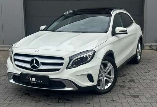 Mercedes-Benz Pano dak/LED/zetelverwarming