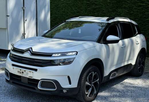Citroen 1.5 Diesel 131pk 2020