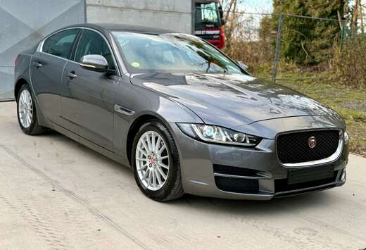 Jaguar XE 2.0 D E-Performance Business Ed.R-Sport