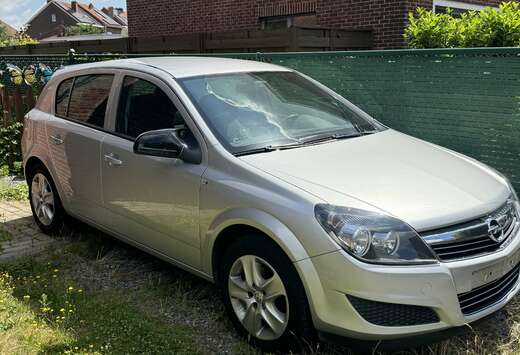 Opel Zie Beschrijving