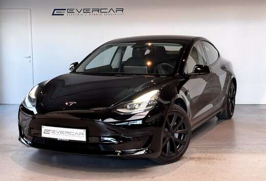 Tesla Model 3 Standard Reichweite Plus Hinterradantri ...