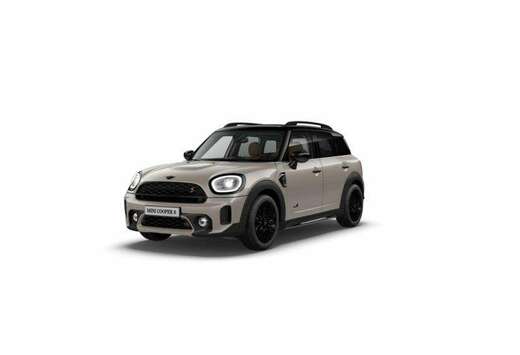 MINI Classic Trim