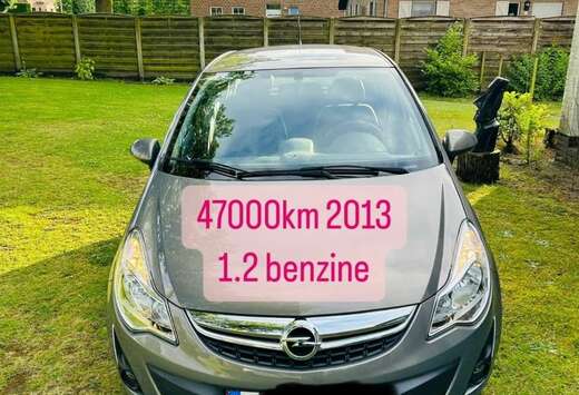 Opel 1.2 Benzine euro5 met 47000km Airco 150 Jahre