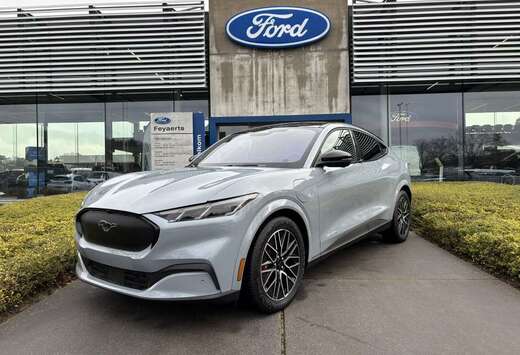 Ford PREMIUM / 91 KWH / 294 PK / STOCKACTIE