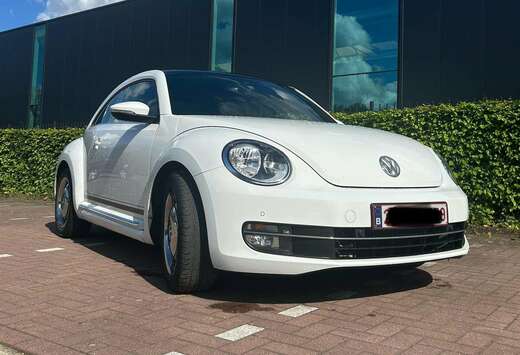 Volkswagen Zeldzame VW Beetle 1.2 TSI \'CUP\' Edition ...