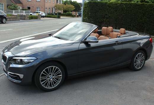 BMW Cabrio 218iA pdc, camera nieuwstaat met garantie