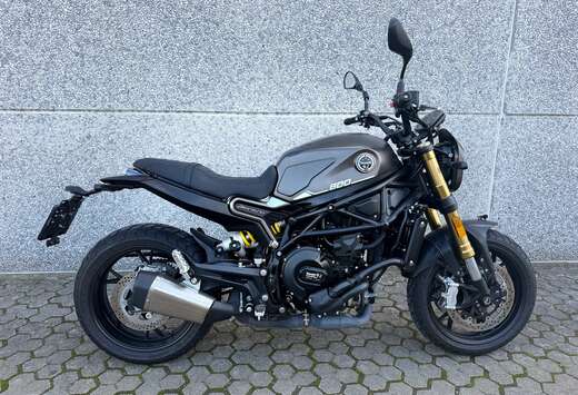 Leoncino 800