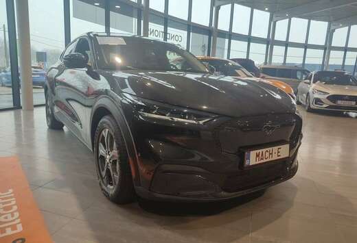Ford RWD - 99kWh - 610 km d\'autonomie - Garantie jus ...