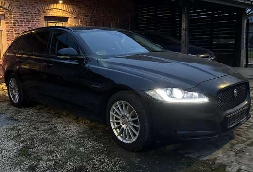 Jaguar XF E-Performance Sportbrake Pure