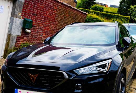 2.0 TDI CR 4Drive DSG