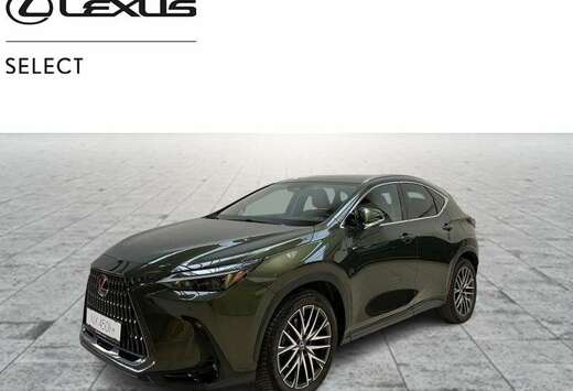 Lexus Executive-Line