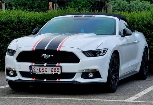 Ford Mustang Cabrio 2.3 EcoBoost
