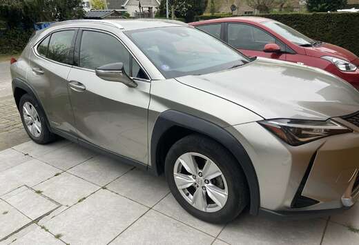Lexus UX 250h 2.0i AWD Business Line