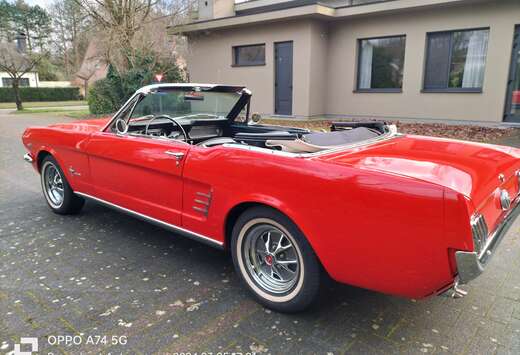 Ford V8