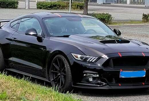 Ford Mustang 5.0 Ti-VCT V8 GT CNG tank12L