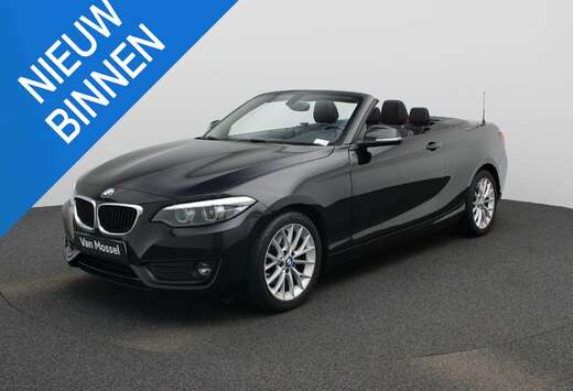 BMW 2 Reeks Cabrio 220d (140 kW) LED  NAVI  Zetelver