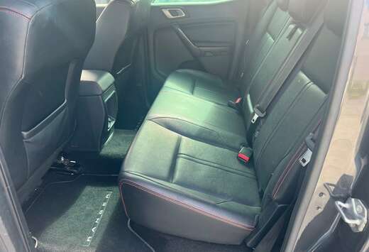 Ford 2.0 BiT EcoBlue Raptor (EU6.2)