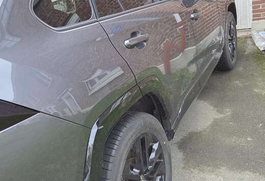 Toyota RAV4 PHEV 2.5i i-AWD Dynamic Plus (225 kW)