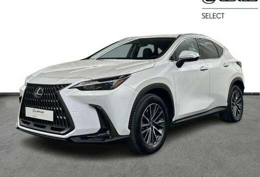 Lexus Executive Line PHEV