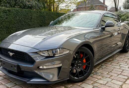 Ford Fastback 2.3 EcoBoost Automaat  ### 37000 km ###