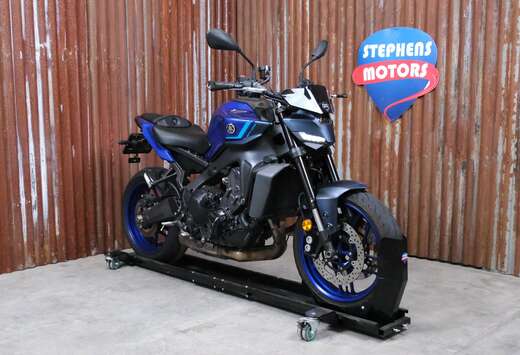 Icon blue
