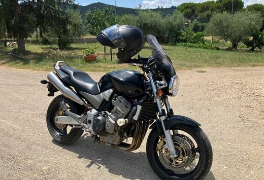 Honda Hornet