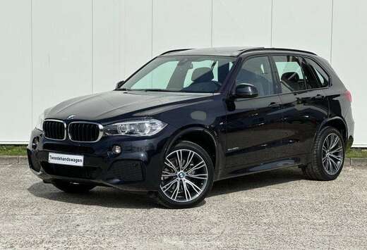 BMW X5 2.0 dA xDrive25 AdBlue