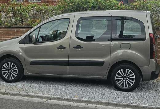 Peugeot Tepee 1.6i Active
