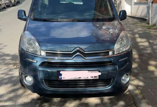 Citroen 1.4i SX Hayon/Achterklep