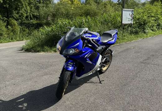 Blauw Met Wit
