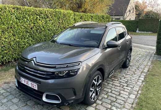 Citroen BlueHDi 130 S&S BVM6 Business