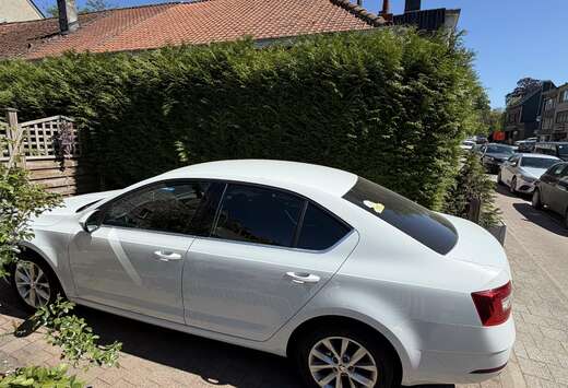 Skoda Octavia 1.0 TSI Ambition DSG